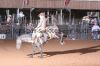 Reg3-1028-Ruff-Sat-0005-coltBRUCE.jpg