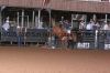 Reg3-1028-Ruff-Sat-0010-cutterPATTERSON.jpg